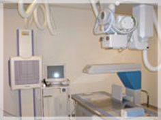 骨密度測定器(DEXA)